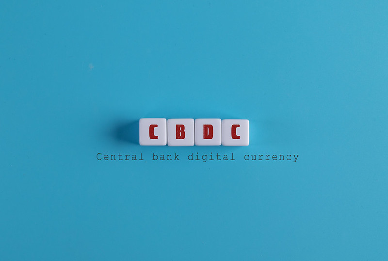 What are central bank digital currency and how do they work